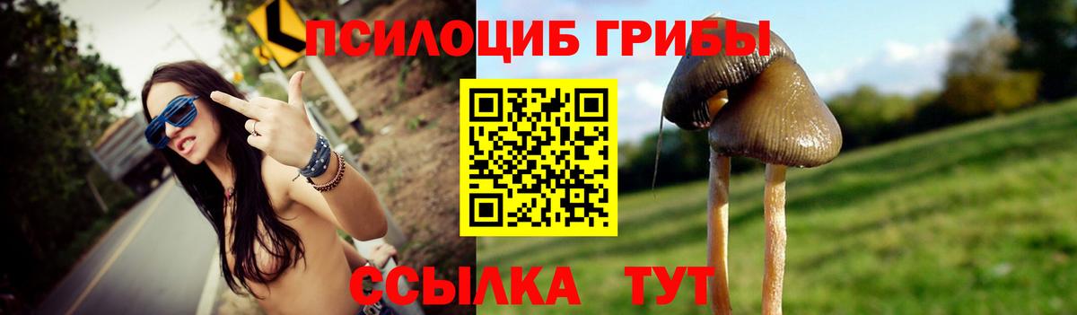 Галлюциногенные грибы мицелий  Галлюциногенные грибы Magic Shrooms  Вход с VPN  Нововоронеж 